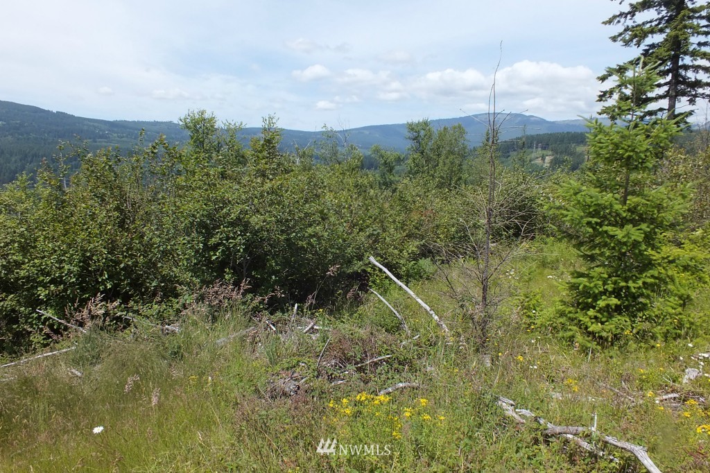0 Northeast George Road Camas, WA 98607 - Photo 5 of 15