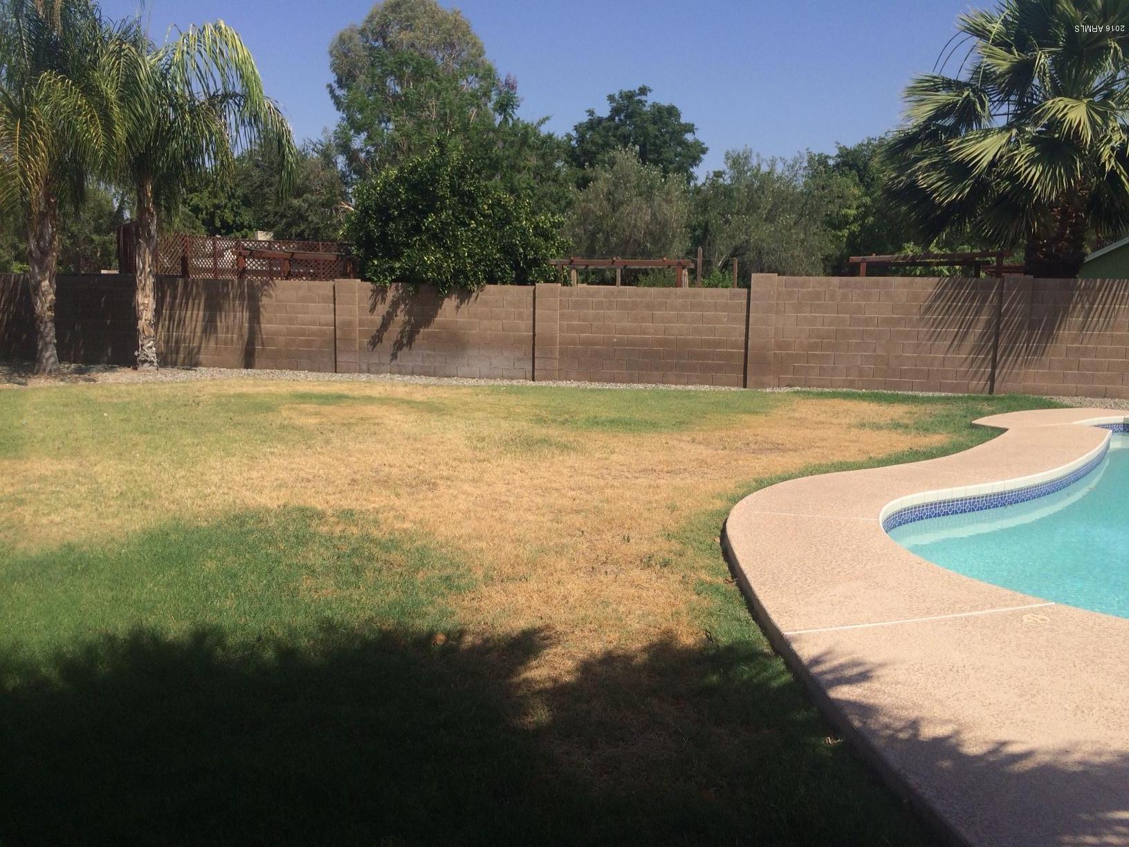 608 West Devon Court Gilbert, AZ 85233 - Photo 56 of 84 IMG_1894