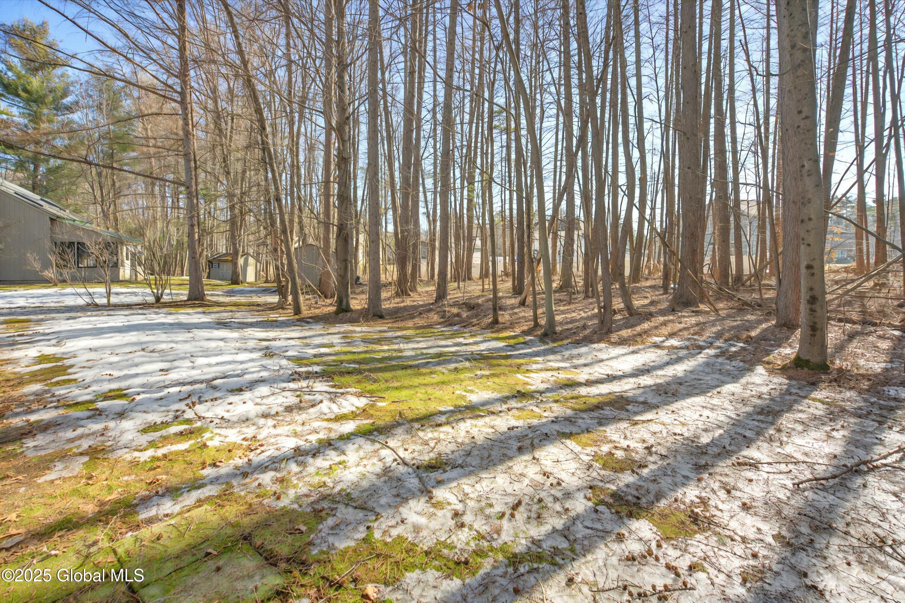 10 Sand Spurrey Road Malta, NY 12020 - Photo 32 of 38 06-10 SAND SPURREY-36