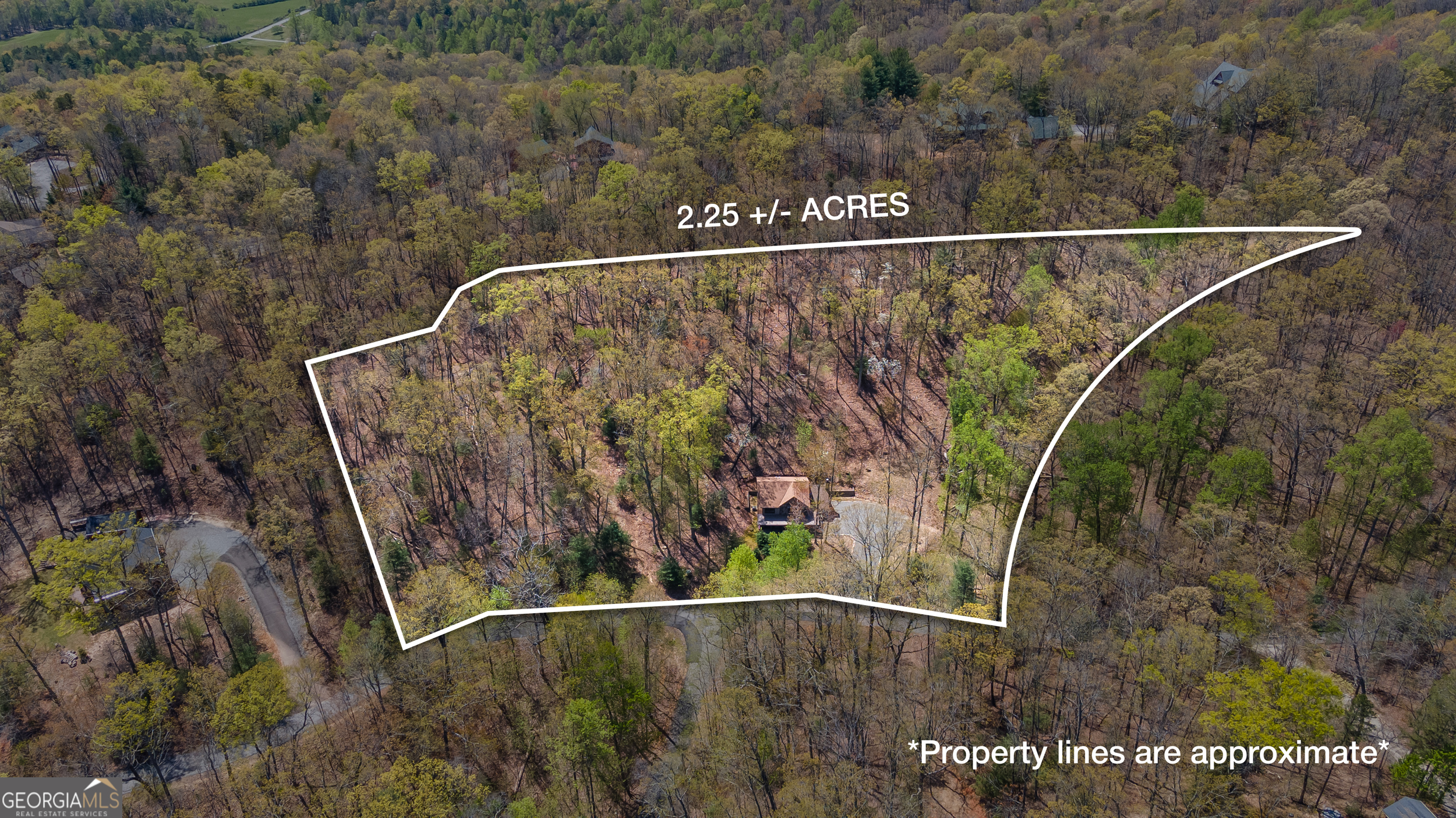 455 Shepherds Walk Morganton, GA 30560 - Photo 3 of 48