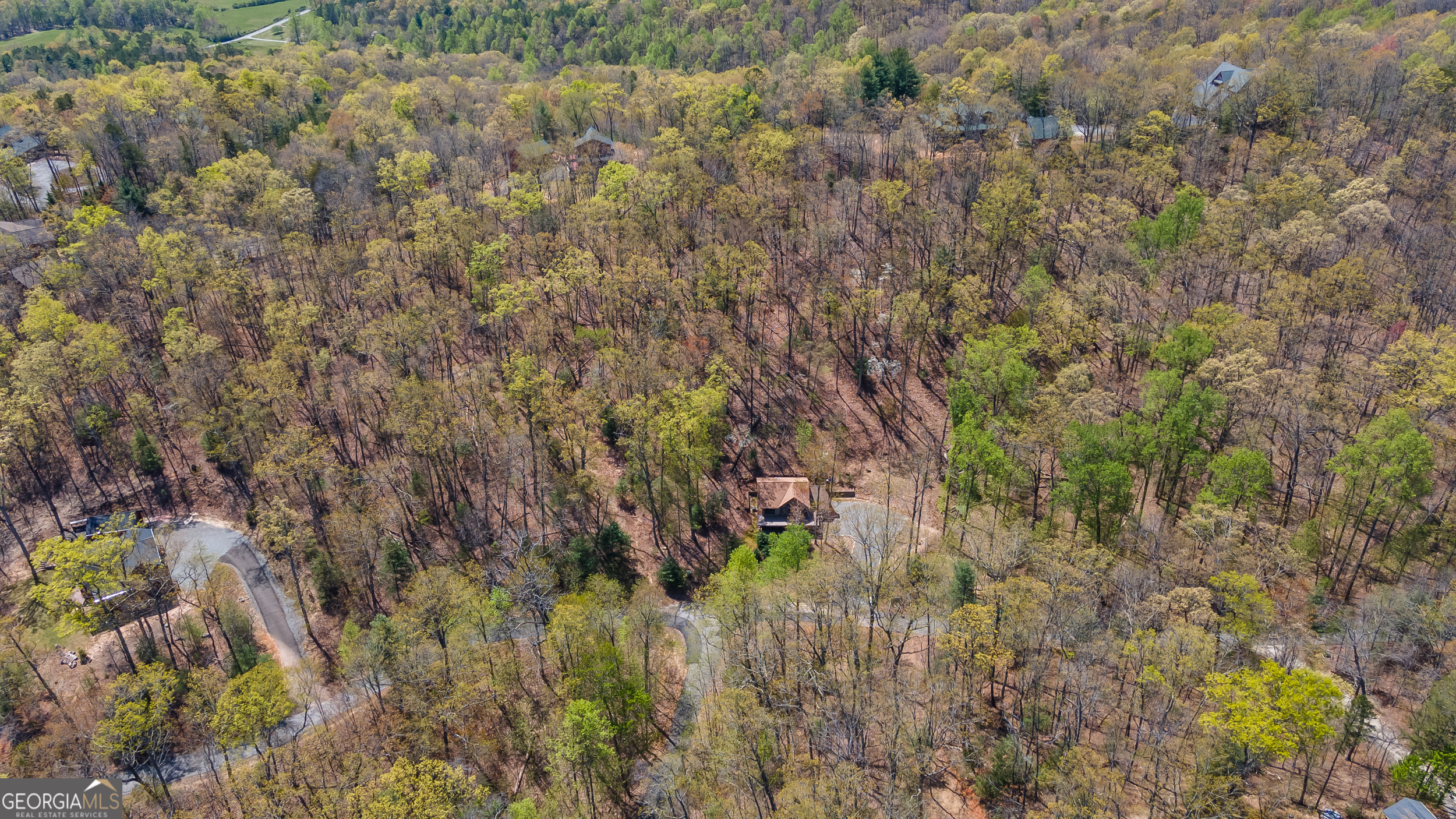 455 Shepherds Walk Morganton, GA 30560 - Photo 45 of 48