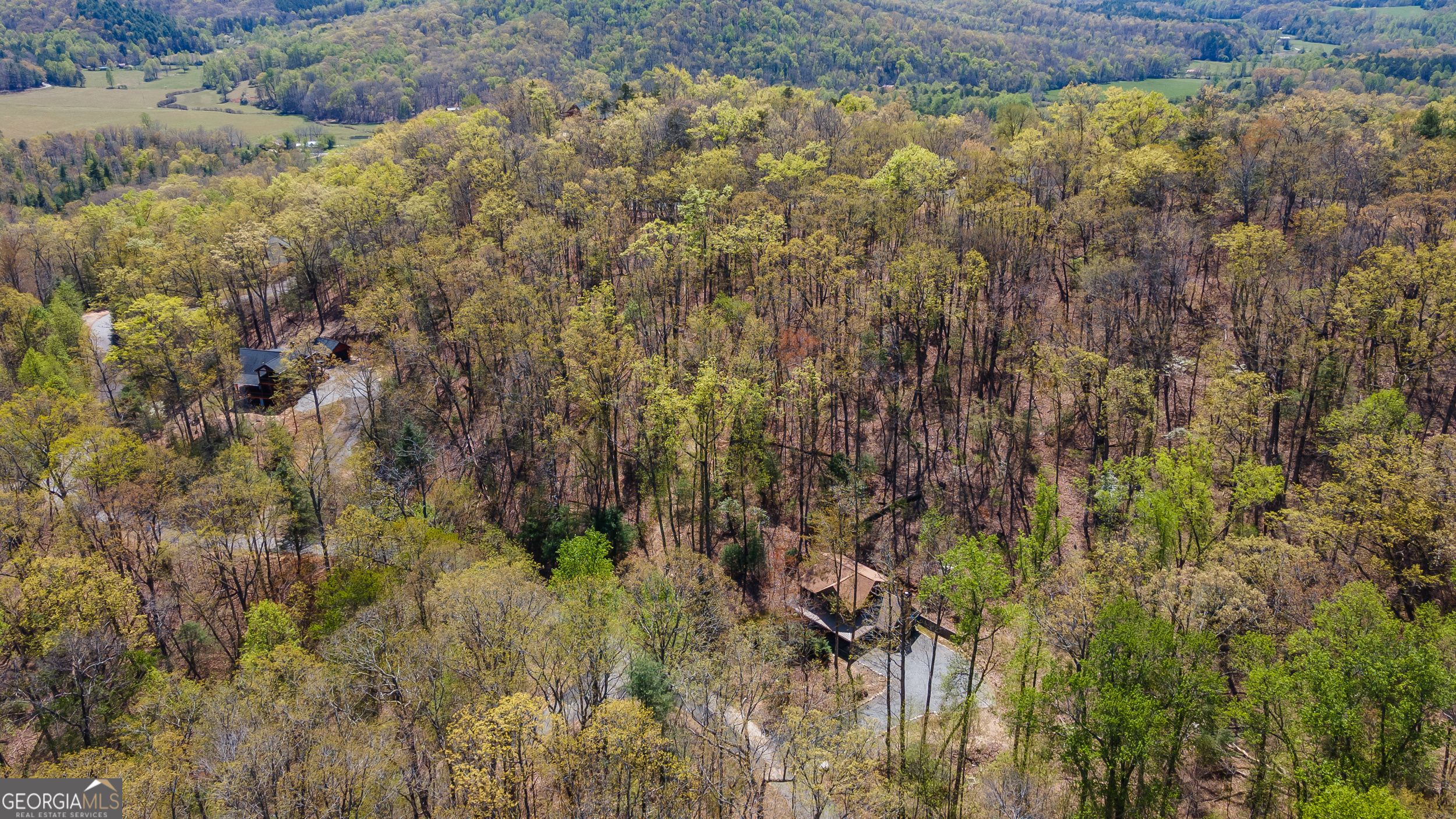 455 Shepherds Walk Morganton, GA 30560 - Photo 46 of 48