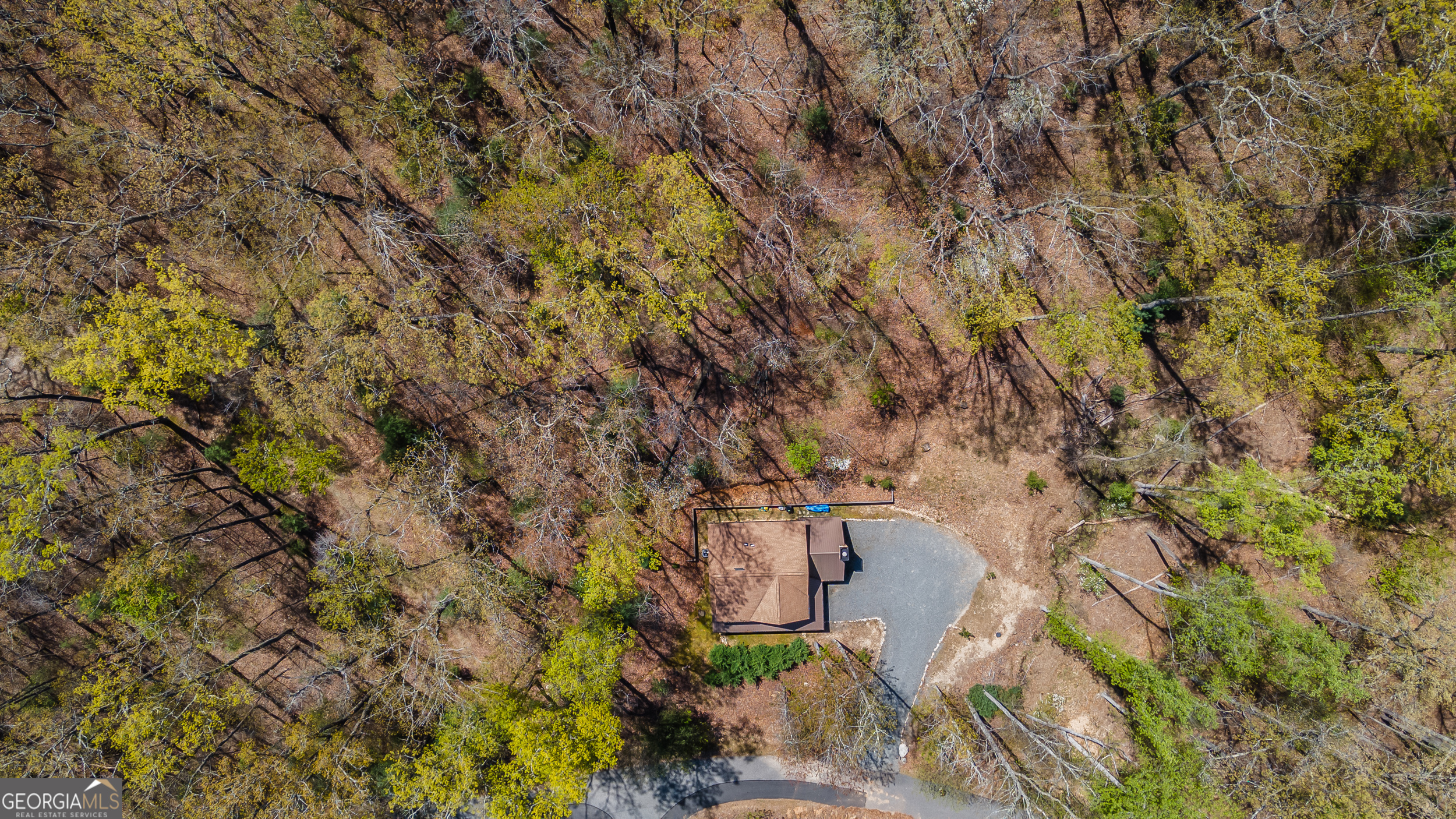 455 Shepherds Walk Morganton, GA 30560 - Photo 47 of 48