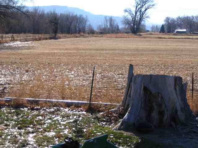 2163 45 1/2 Road De Beque, CO 81630 - Photo 3 of 7 Additional Photo