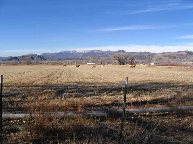 2163 45 1/2 Road De Beque, CO 81630 - Photo 6 of 7 Additional Photo