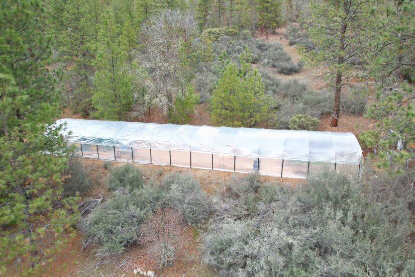 290 Star Gulch Road Jacksonville, OR 97530 - Photo 27 of 37 Hoop style Greenhouse