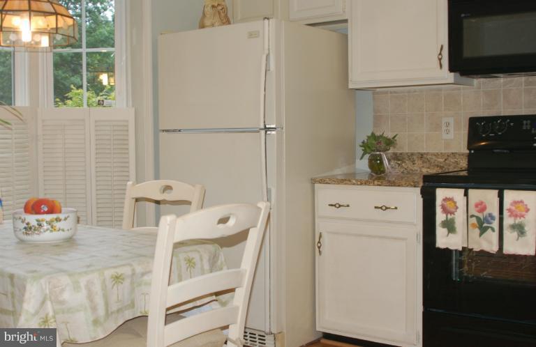8544 Springfield Oaks Drive Springfield, VA 22153 - Photo 17 of 18 Kitchen