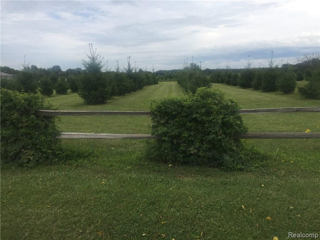 Vl Howland Road Almont, MI 48003 - Photo 2 of 5