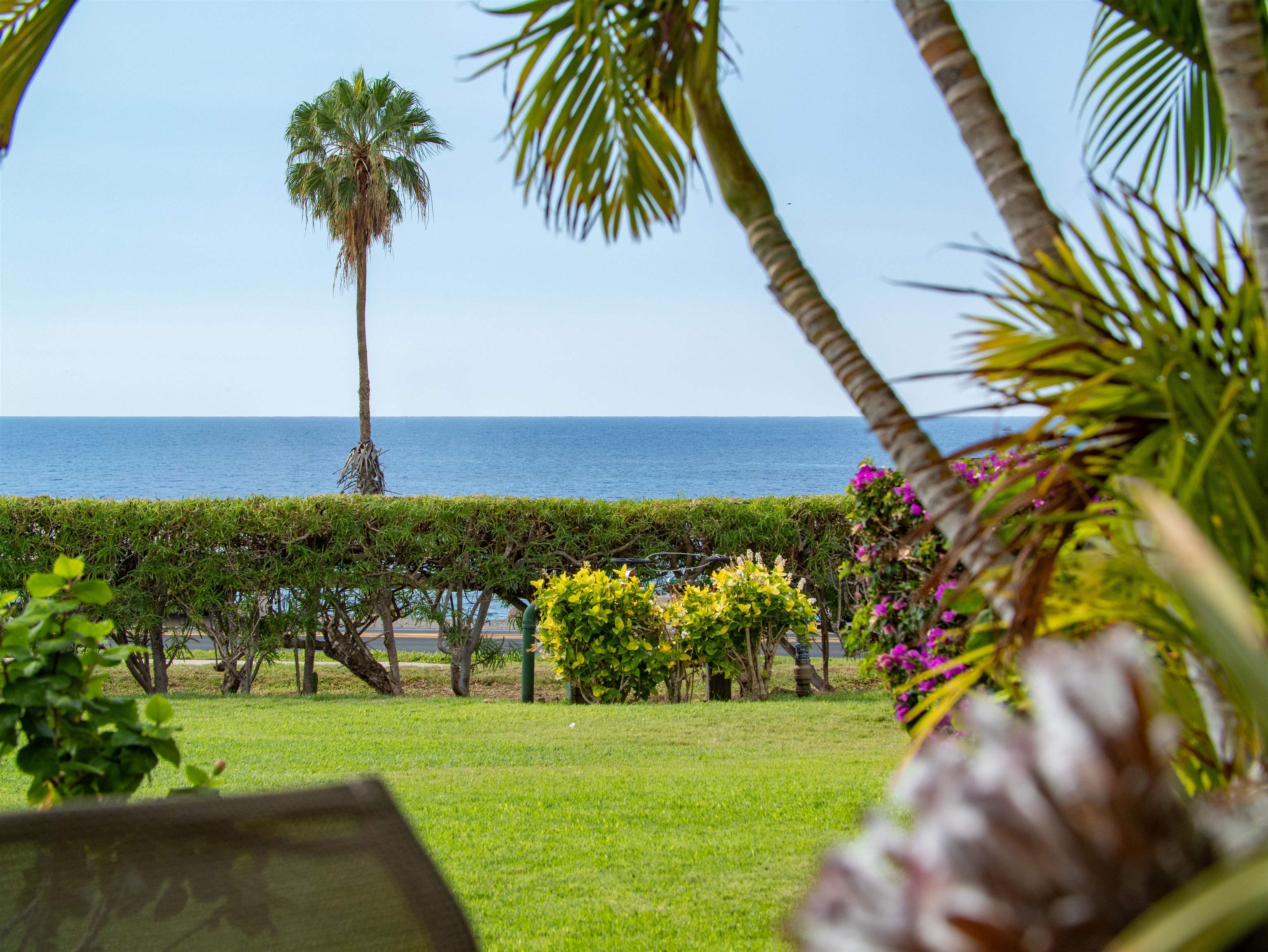 2737 South Kihei Road, Unit 1106 Kihei, HI 96753 - Photo 5 of 25 a view of a garden