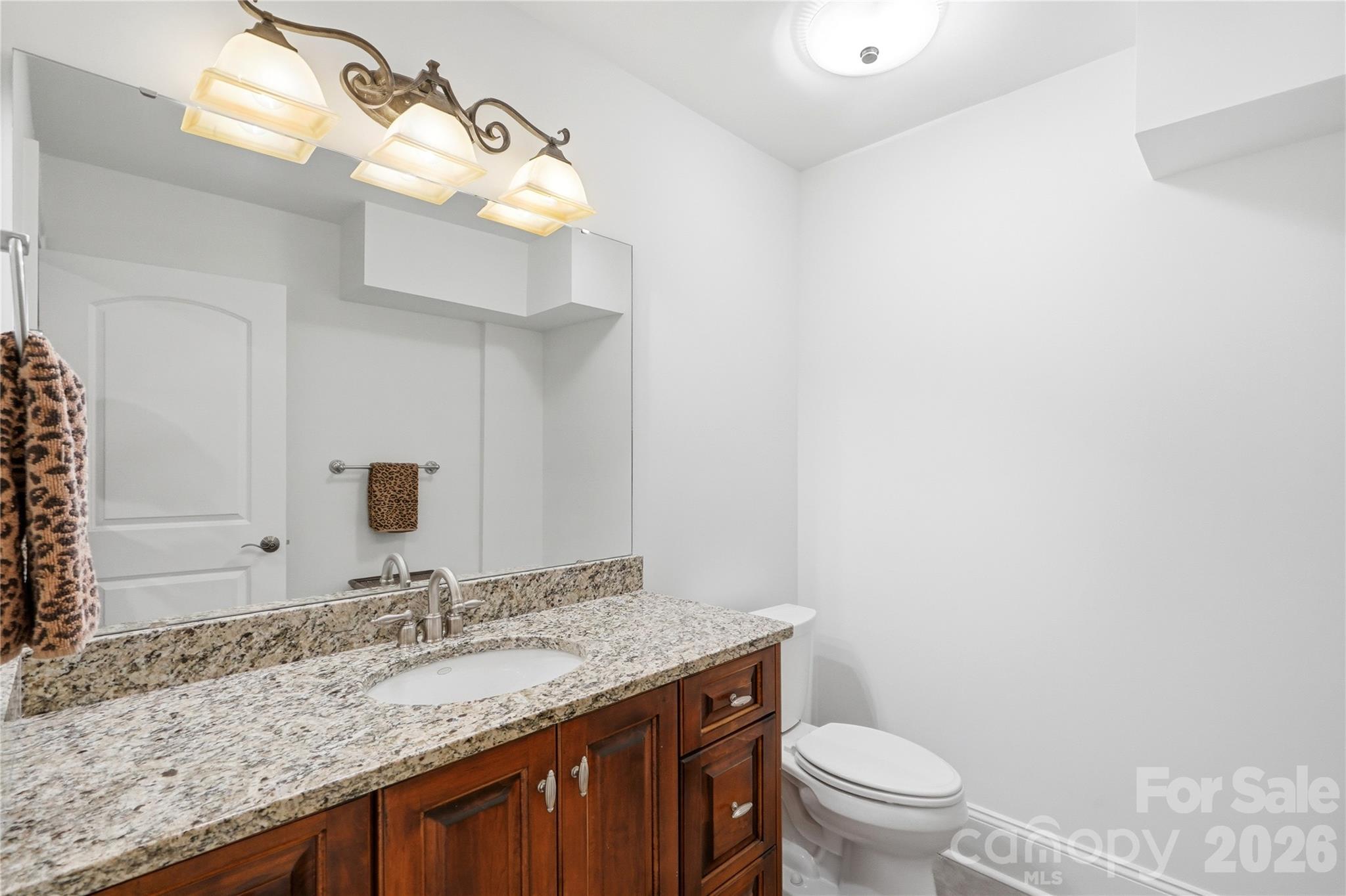 16121 Tana Tea Circle Tega Cay, SC 29708 - Photo 41 of 48