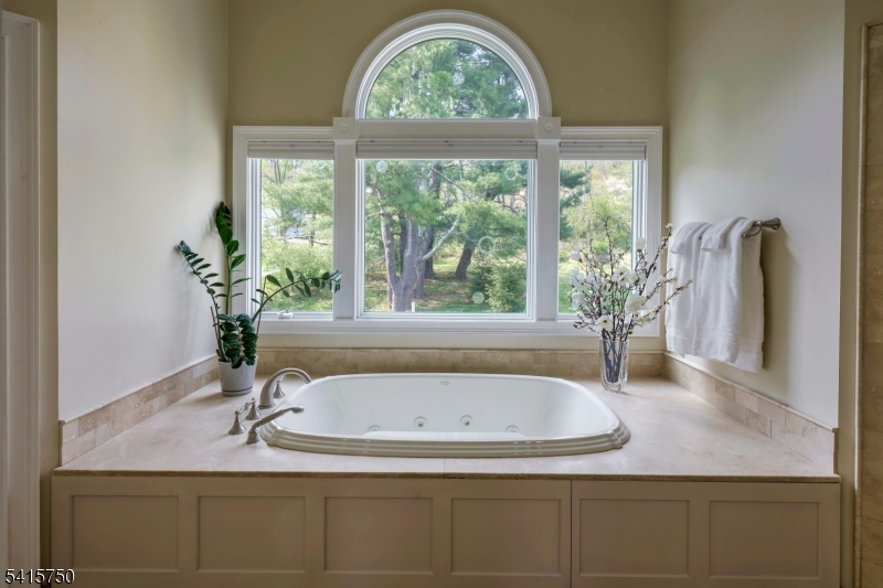 85 Mosle Road Peapack-Gladstone, NJ 07931 - Photo 32 of 49 a bathroom with a granite countertop sink a mirror and a bathtub
