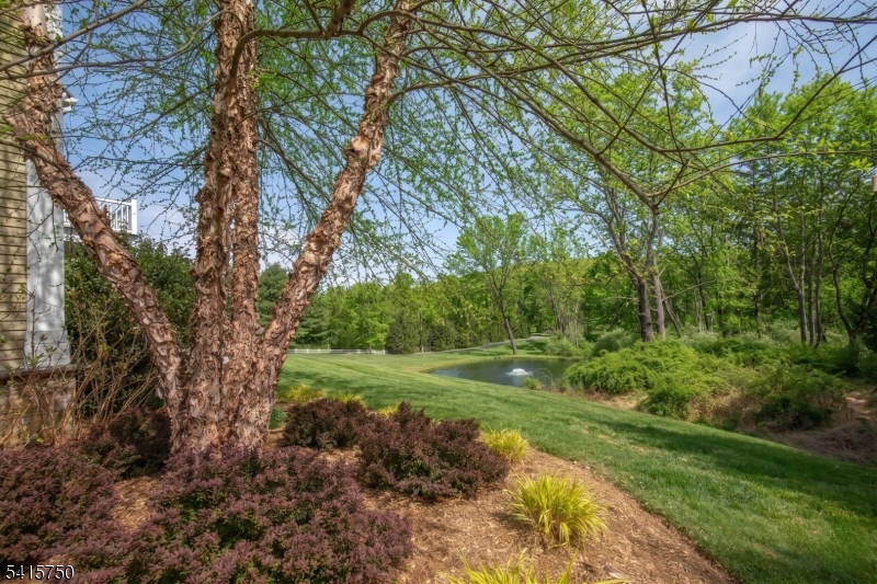 85 Mosle Road Peapack-Gladstone, NJ 07931 - Photo 6 of 49 a yard with large trees