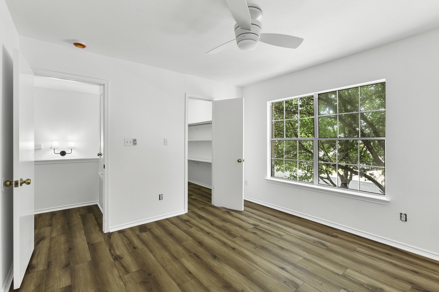 2431 Lavendale Court Austin, TX 78748 - Photo 20 of 22 Freshly painted bedroom with a large walk-in closet, new lighting and LVP flooring
