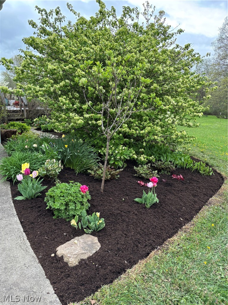 10960 Auburn Road Chardon, OH 44024 - Photo 46 of 50 Summer yard