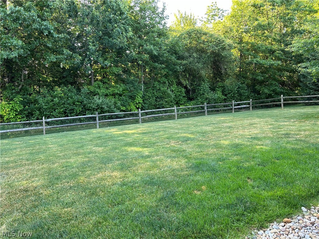 8763 Timber Edge Drive North Ridgeville, OH 44039 - Photo 38 of 40 View of yard