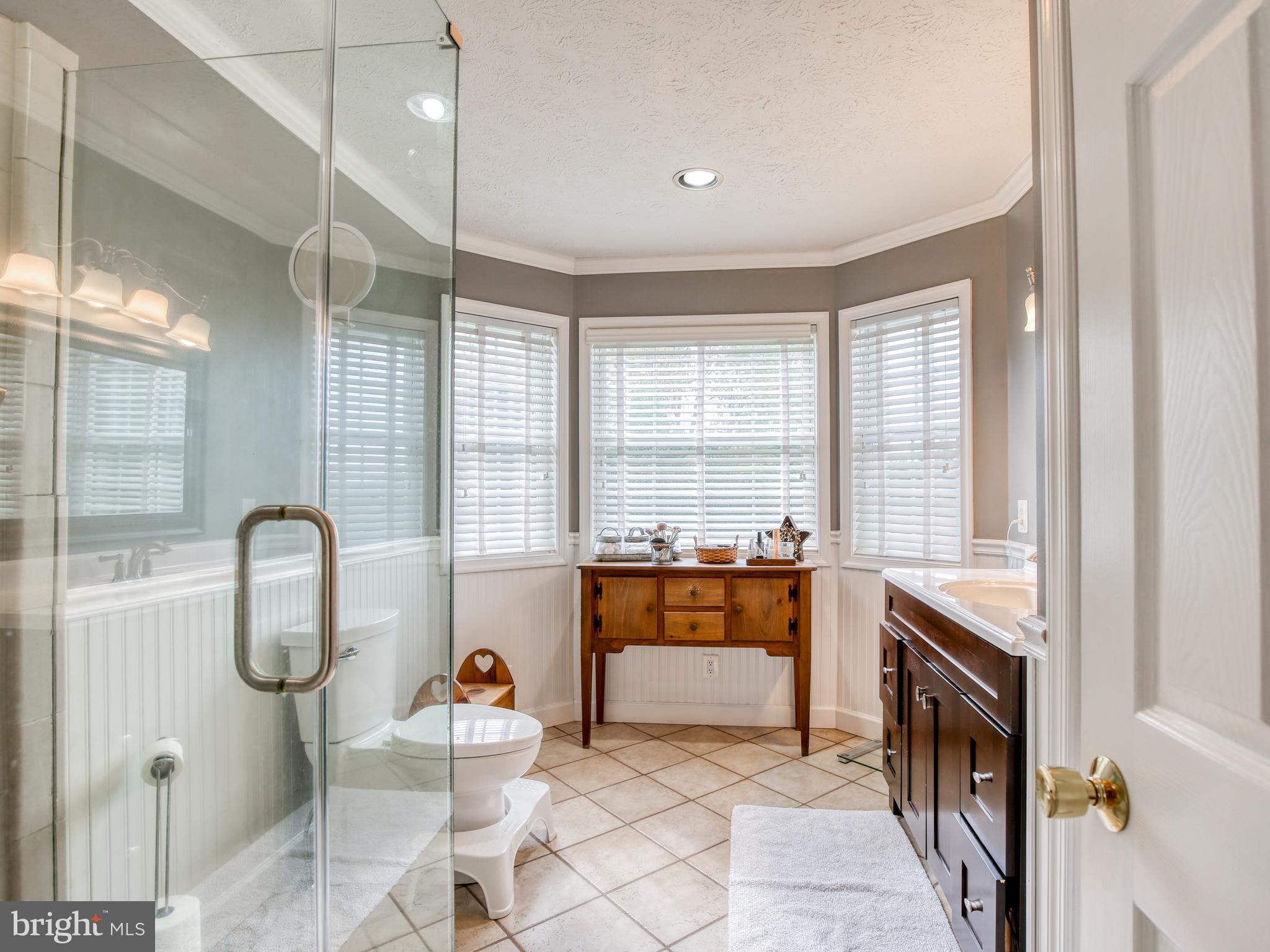 1714 Apple Pie Ridge Road Winchester, VA 22603 - Photo 26 of 44 Primary bathroom with bay window & wainscotting