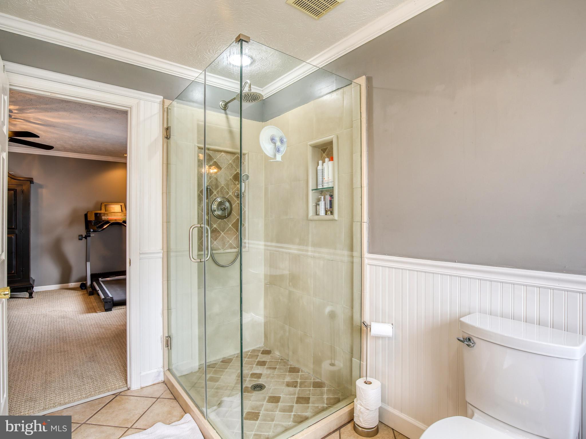 1714 Apple Pie Ridge Road Winchester, VA 22603 - Photo 28 of 44 Shower in primary bath