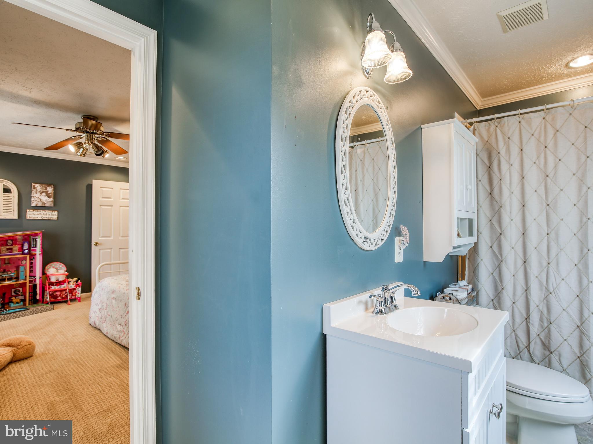 1714 Apple Pie Ridge Road Winchester, VA 22603 - Photo 32 of 44 Full bathroom