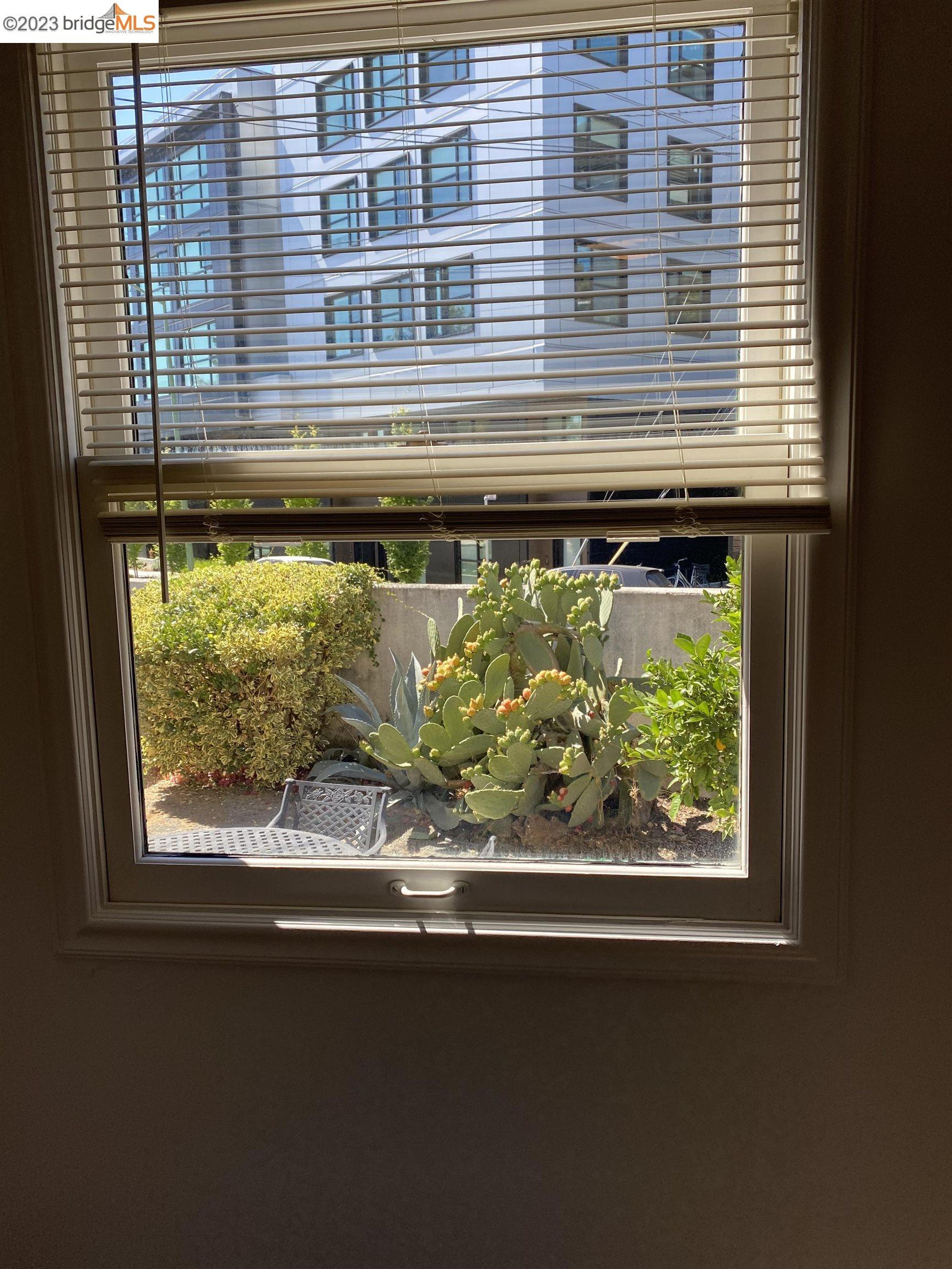Rockridge Oakland, CA 94609 - Photo 9 of 31 a window that has a lot of water