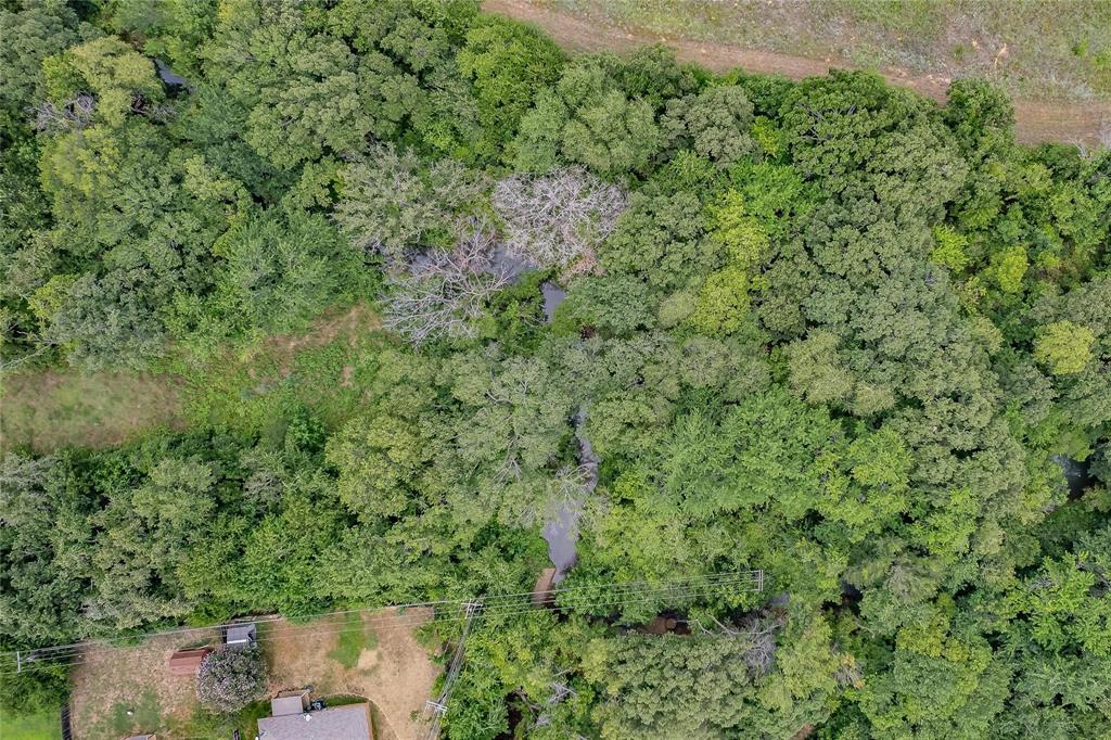 4001 Curry Road Arlington, TX 76001 - Photo 16 of 31 a view of a forest with a bench