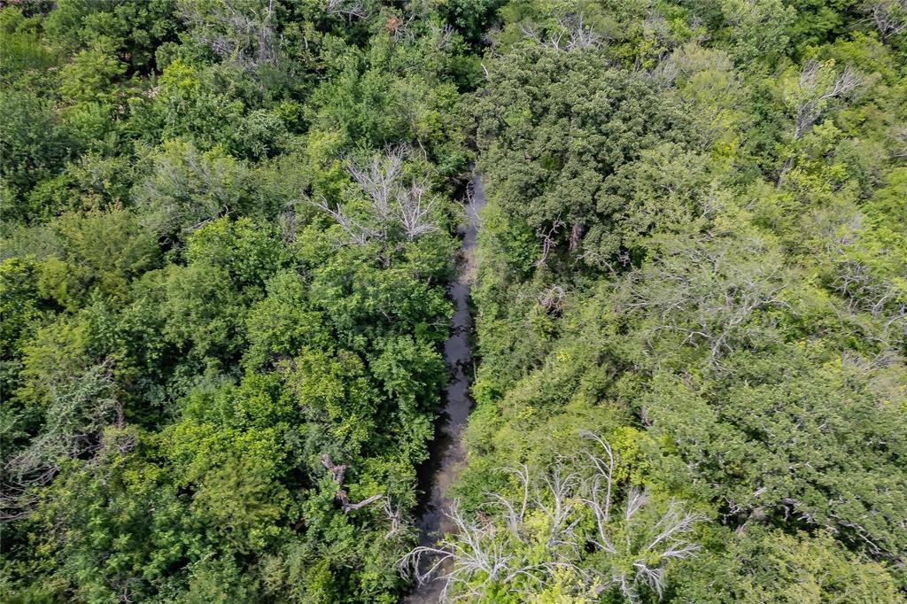 4001 Curry Road Arlington, TX 76001 - Photo 24 of 31 a view of a big yard with plants and bushes