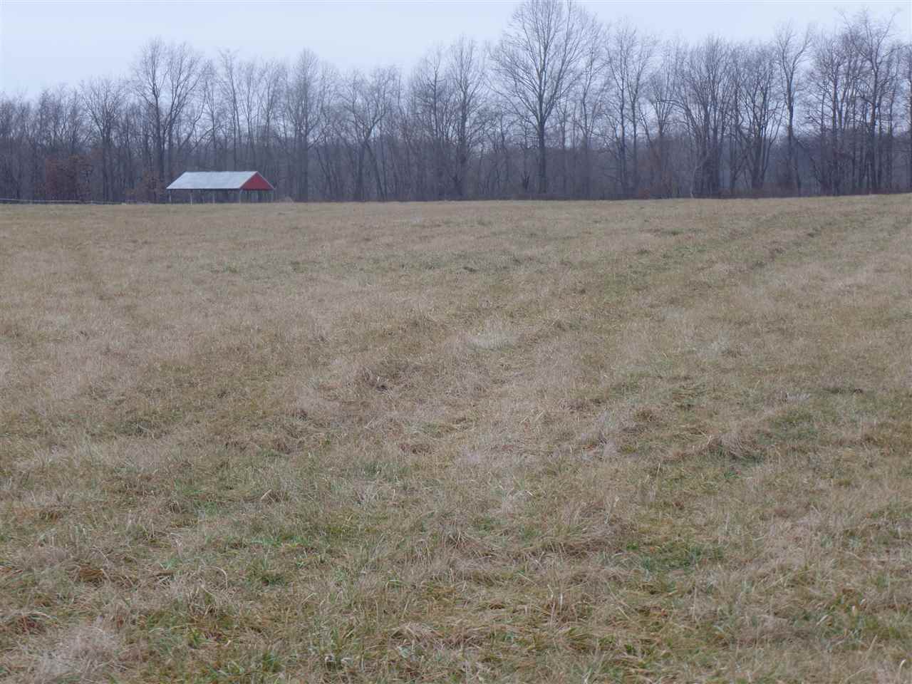 853 North Cold Springs Road Bloomfield, IN 47424 - Photo 5 of 5