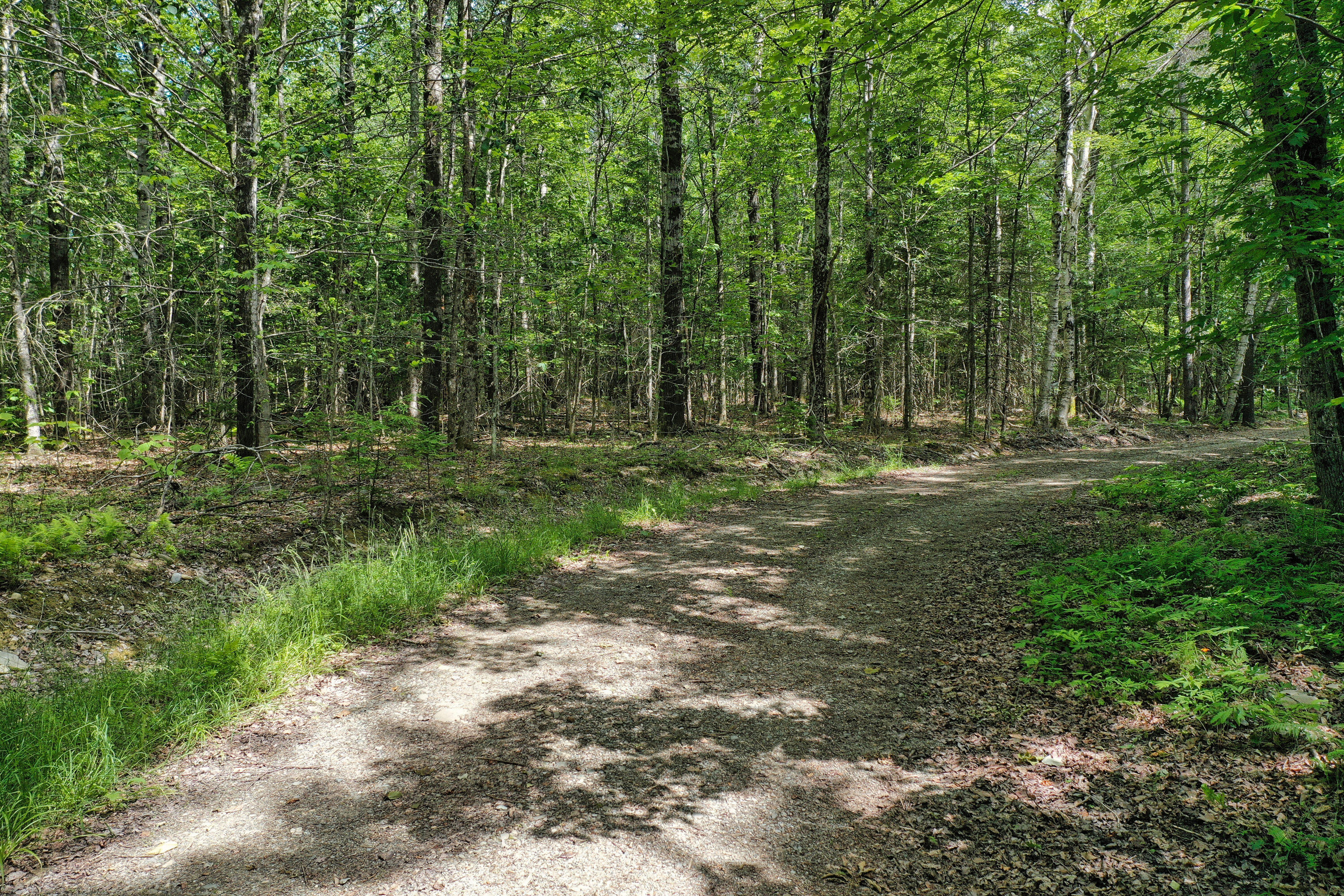 M5-l24 Goosepecker Ridge Road Montville, ME 04941 - Photo 3 of 11 DJI_0546