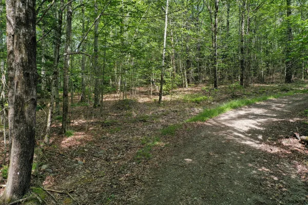 $39,900 | M5-l24 Goosepecker Ridge Road, Montville, ME 04941