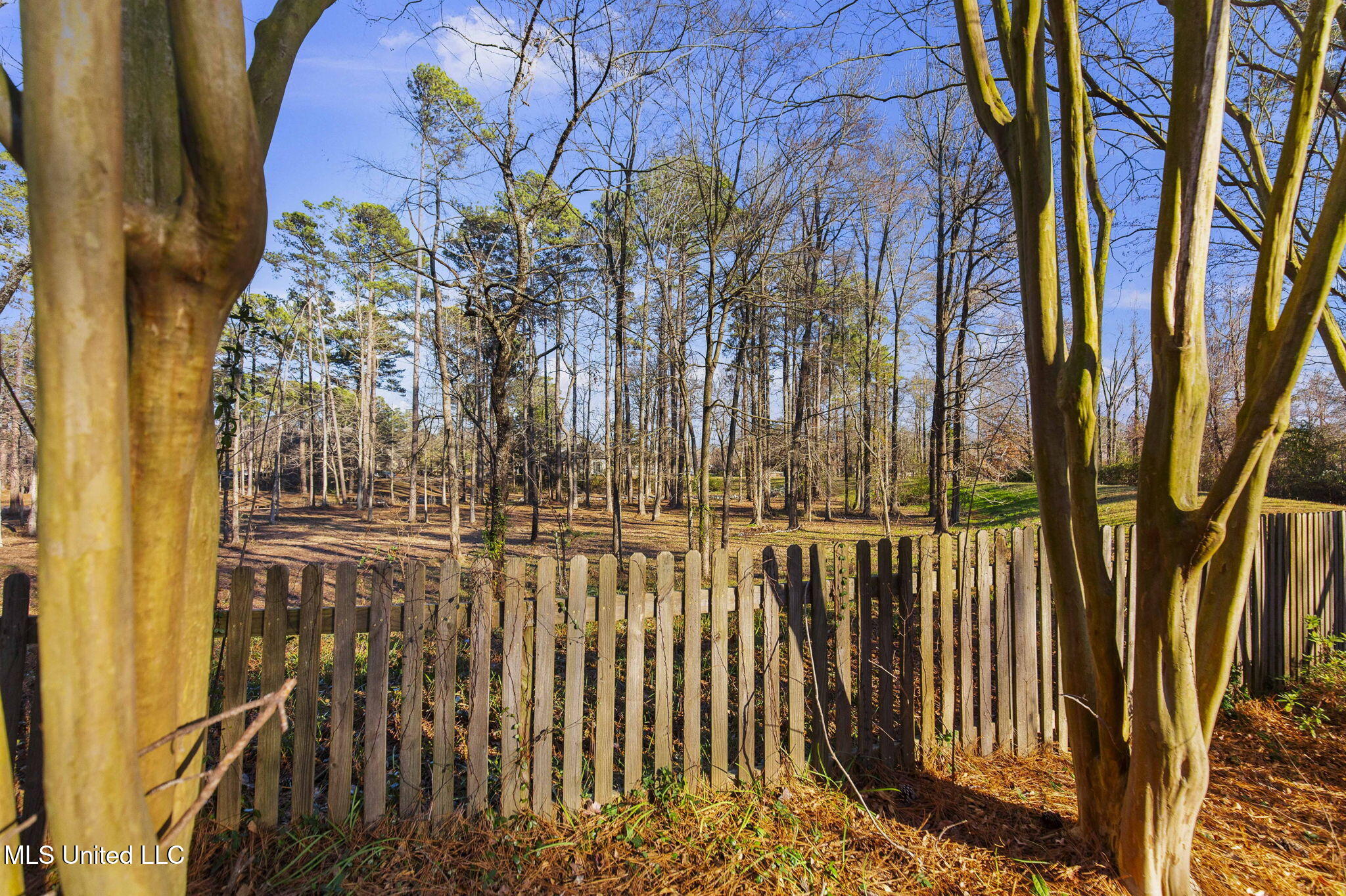 605 Wendover Drive Ridgeland, MS 39157 - Photo 46 of 46 76-web-or-mls-605 Wendover-70