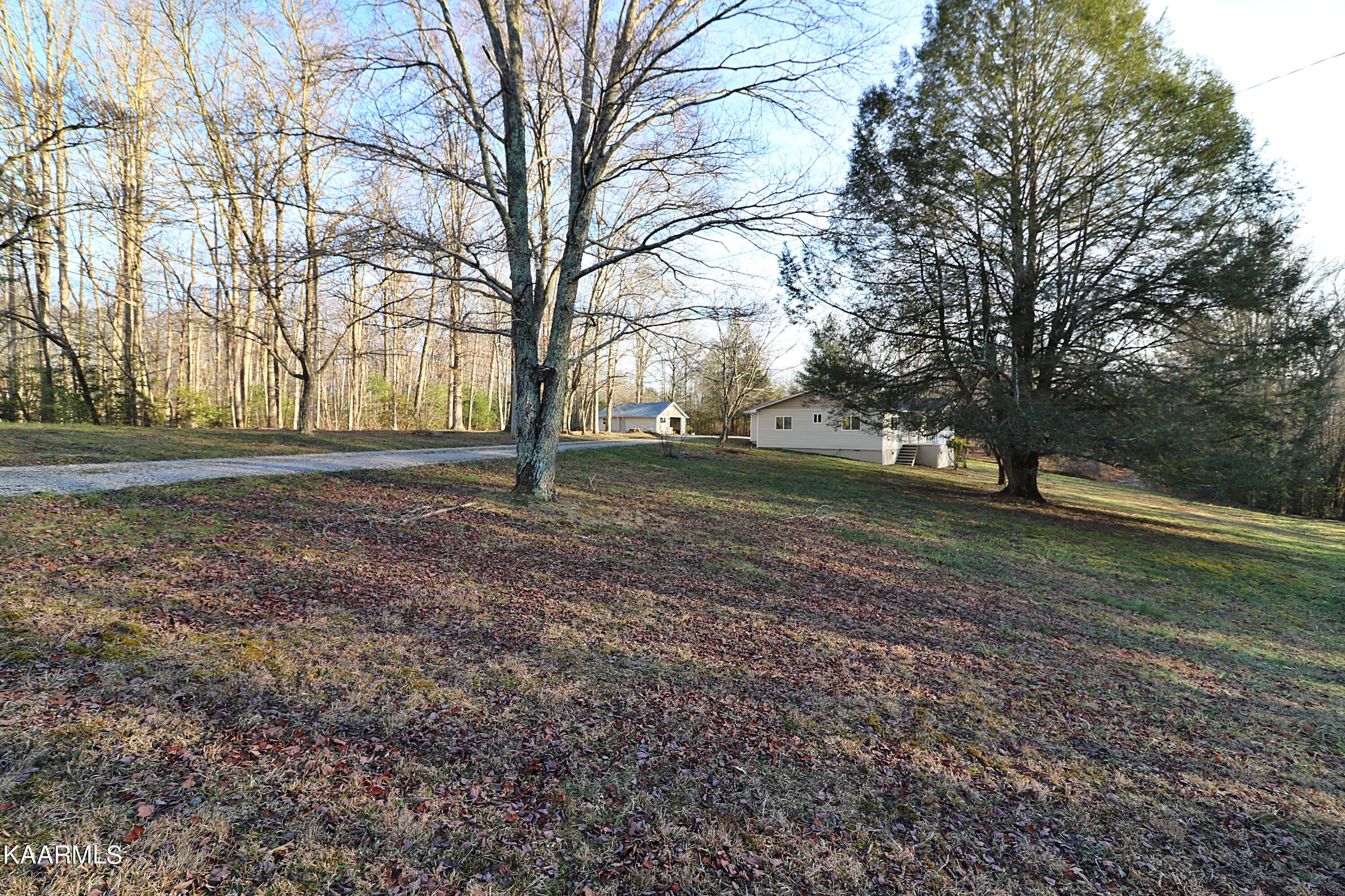 3102 Helenwood Loop Road Helenwood, TN 37755 - Photo 22 of 23 094A8735