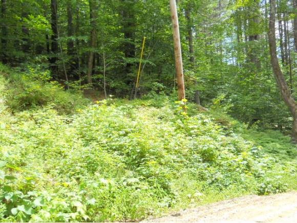 660 Howe Farm Road Jamaica, VT 05343 - Photo 1 of 1