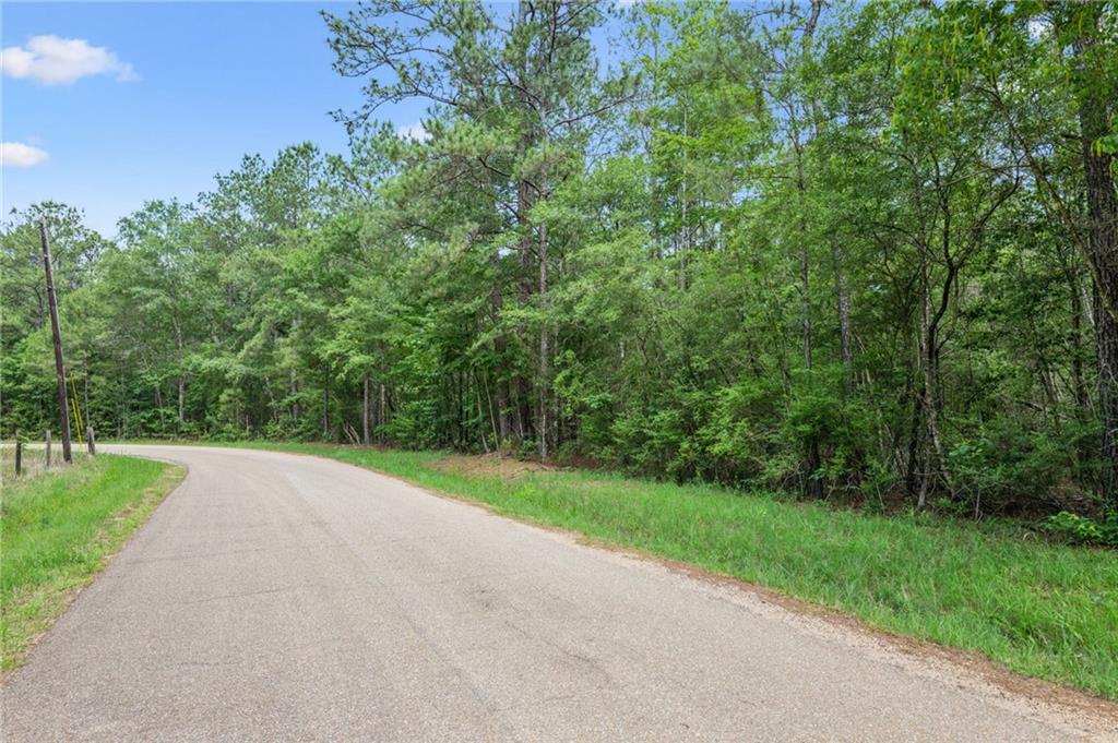 3 7.09 Acres) Bruhl Road Folsom, LA 70437 - Photo 2 of 14