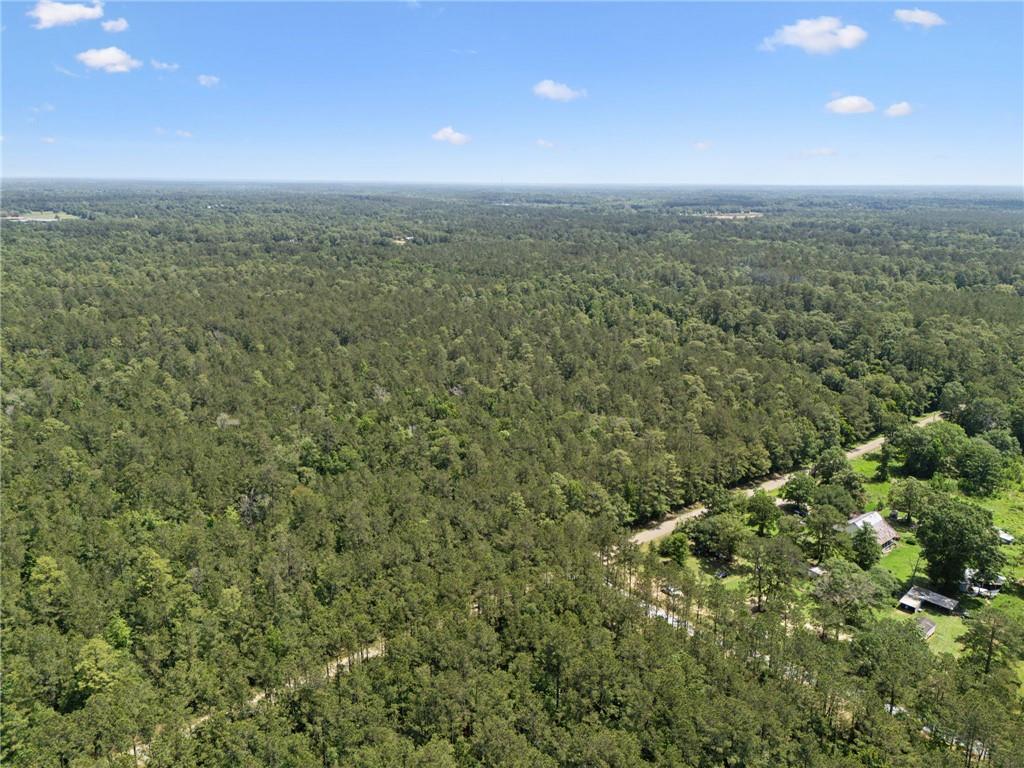 3 7.09 Acres) Bruhl Road Folsom, LA 70437 - Photo 8 of 14