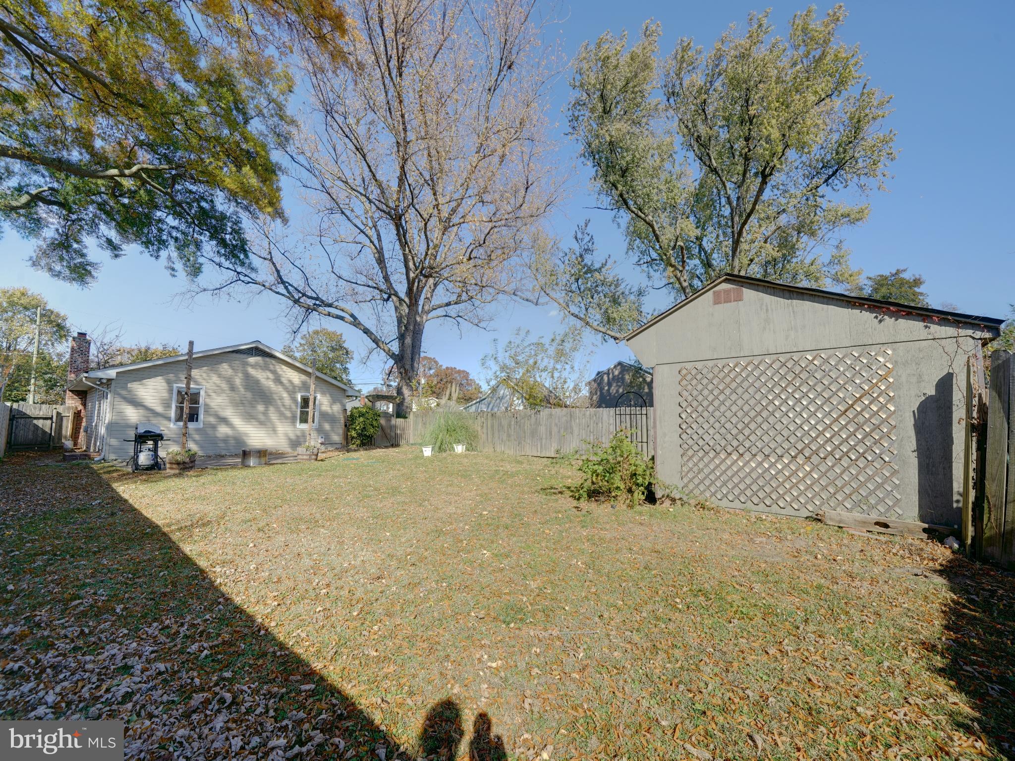 7819 Appletree Road Pasadena, MD 21122 - Photo 38 of 59 Spacious backyard with mature trees.