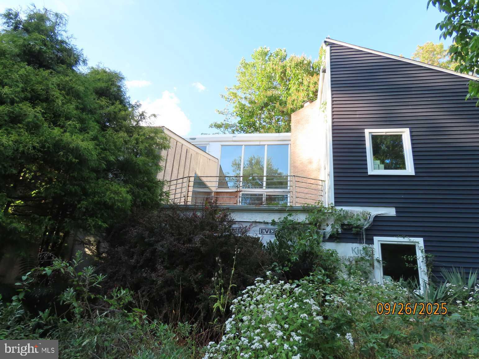 a view of house with a yard and potted plants