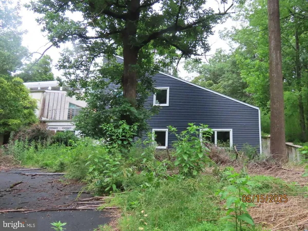 a view of house with a yard and potted plants