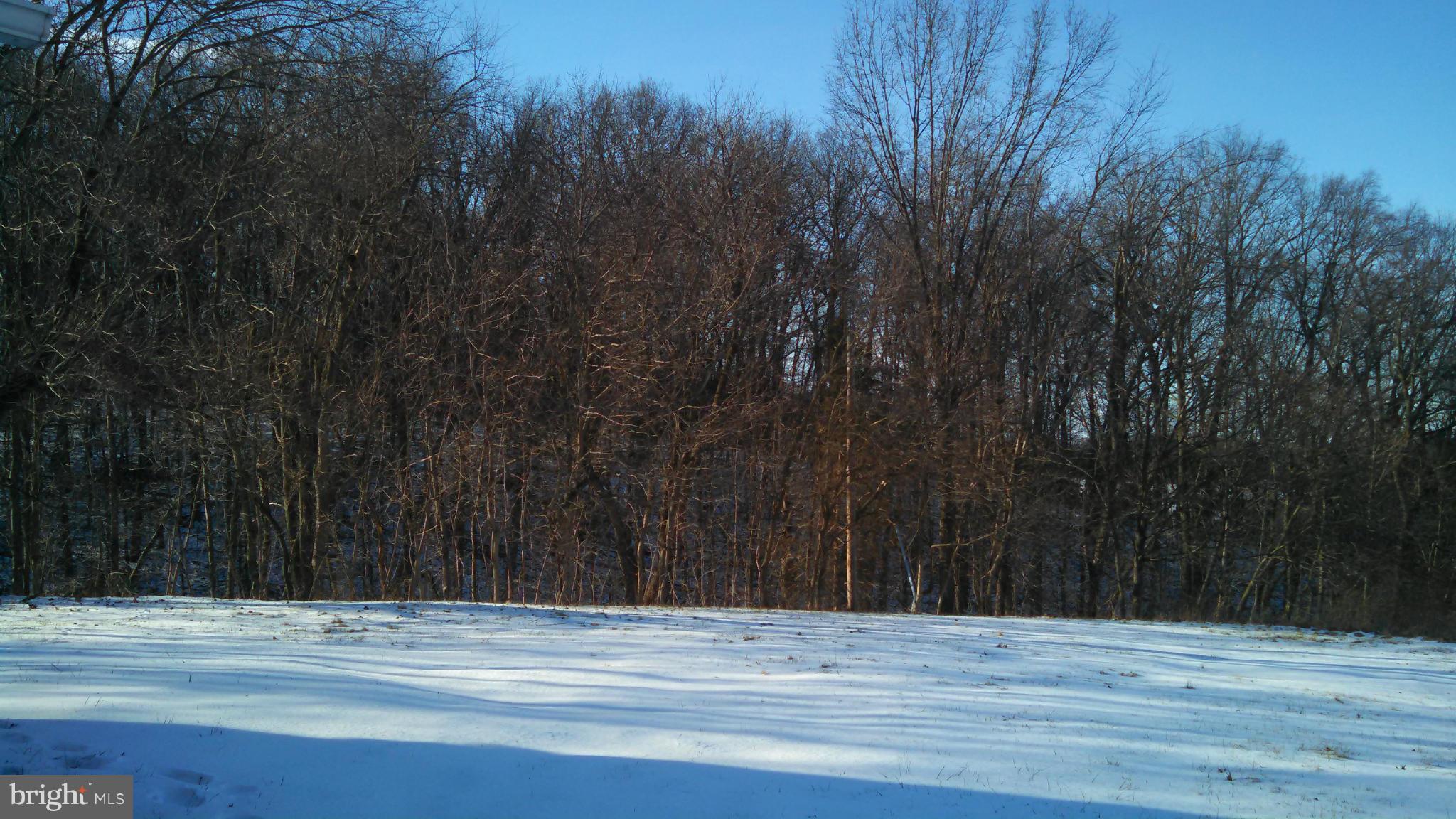 1851 Study Road Westminster, MD 21158 - Photo 18 of 23 View Of woods