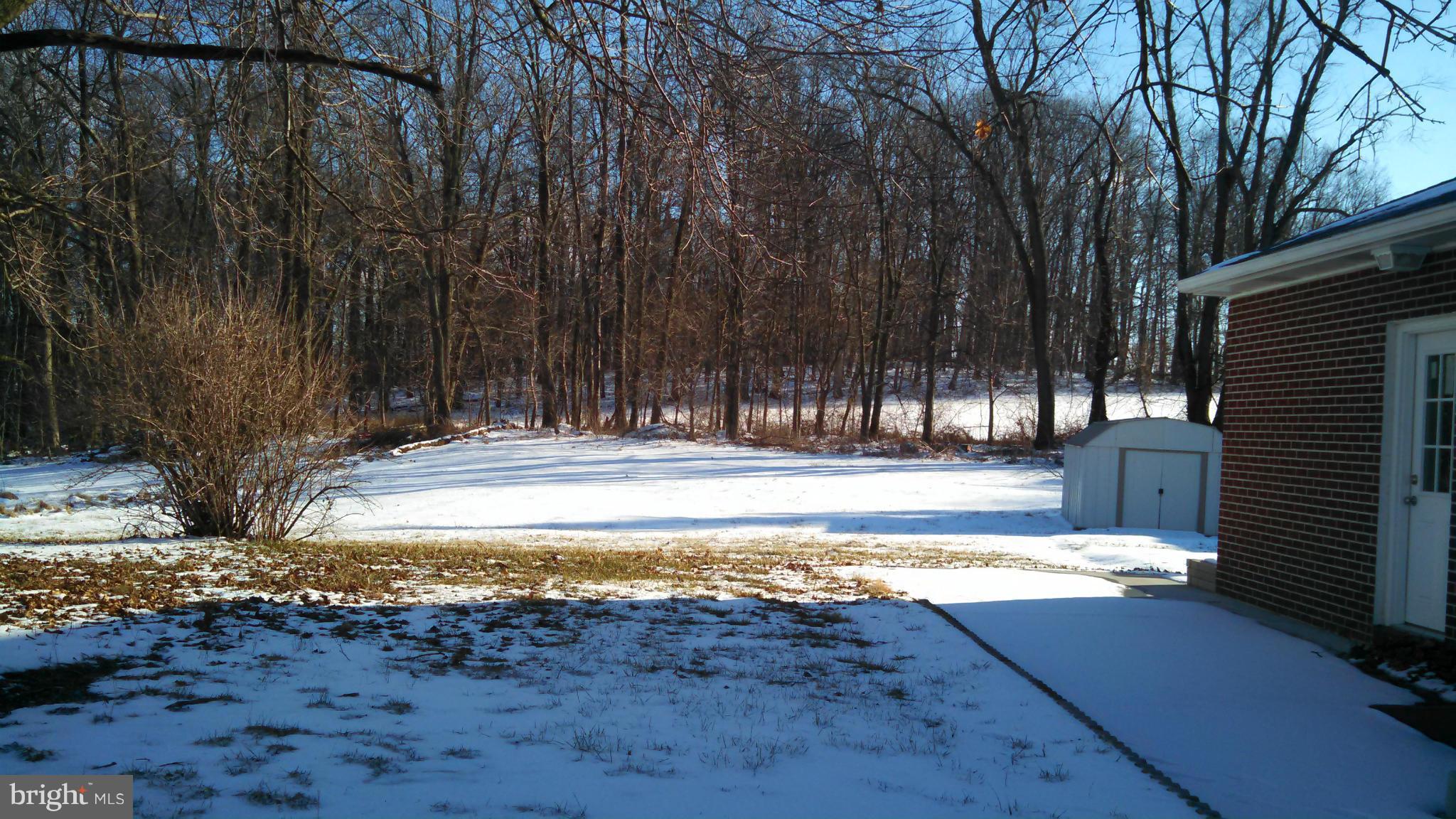 1851 Study Road Westminster, MD 21158 - Photo 19 of 23 View of woods to left of house