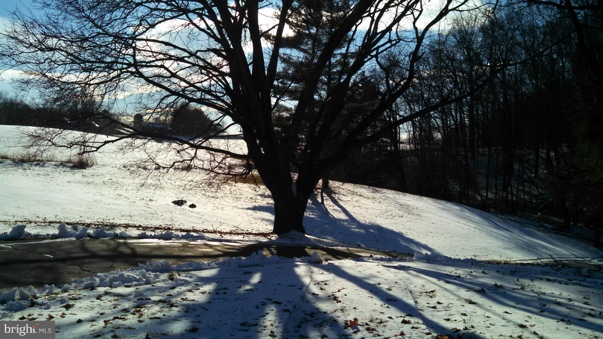 1851 Study Road Westminster, MD 21158 - Photo 20 of 23 View out front