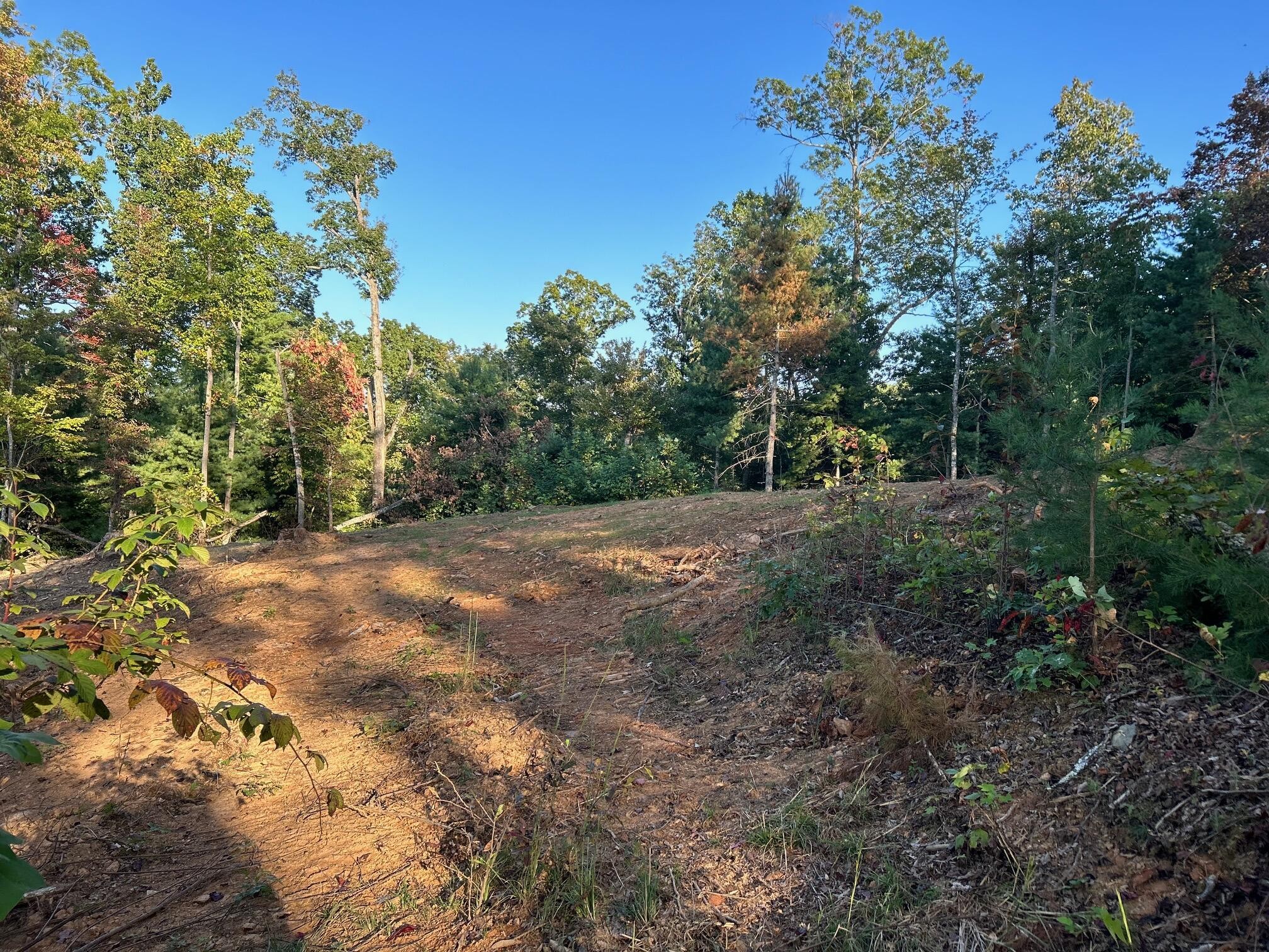 1 Chestnut Mountain Road Reliance, TN 37369 - Photo 15 of 24 Gallery Image 15