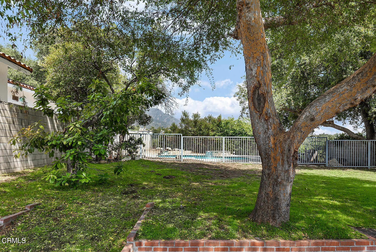 4176 Canyon Crest Road Altadena, CA 91001 - Photo 26 of 33 a view of a garden with a tree