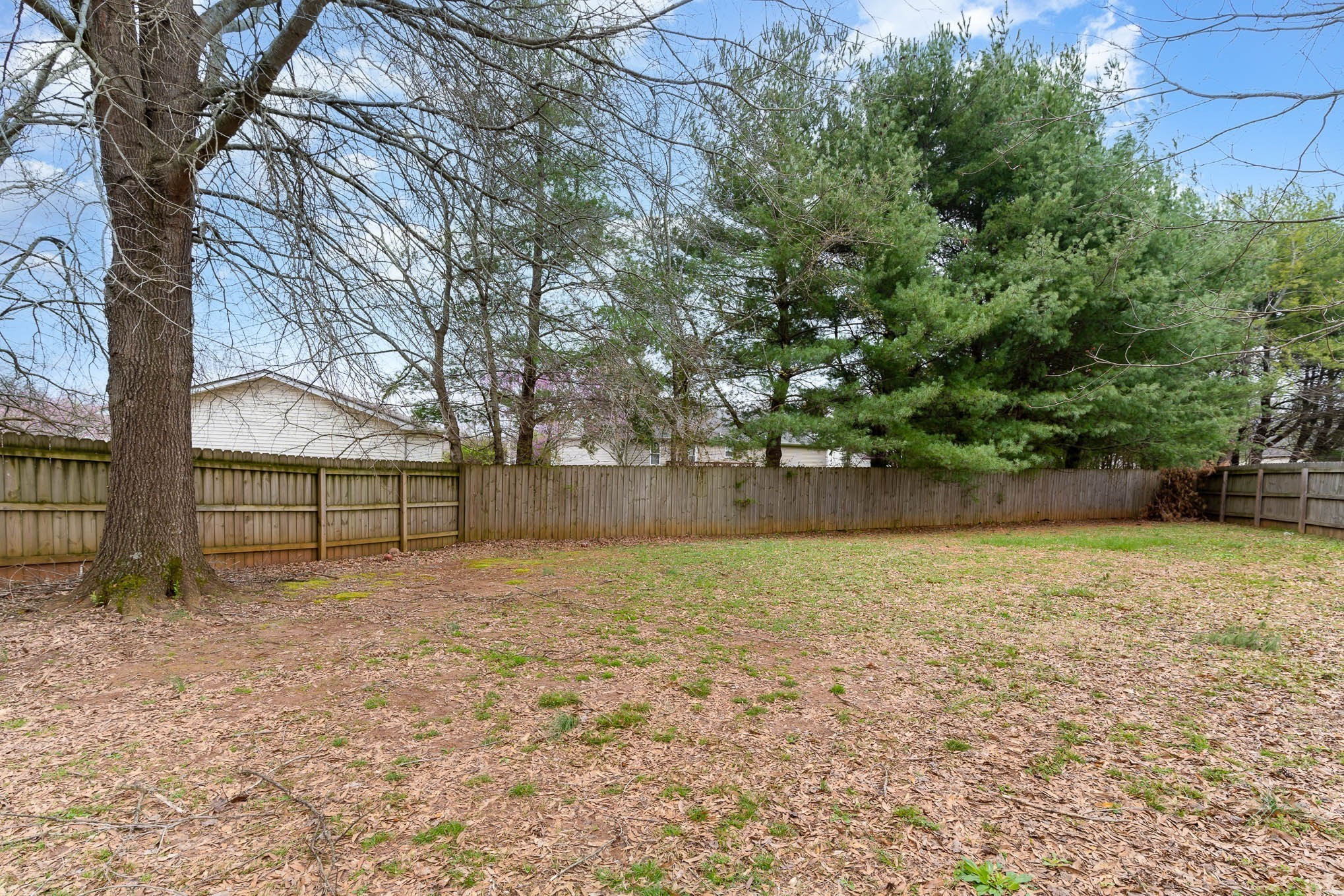3003 Penny Lane Murfreesboro, TN 37130 - Photo 5 of 9