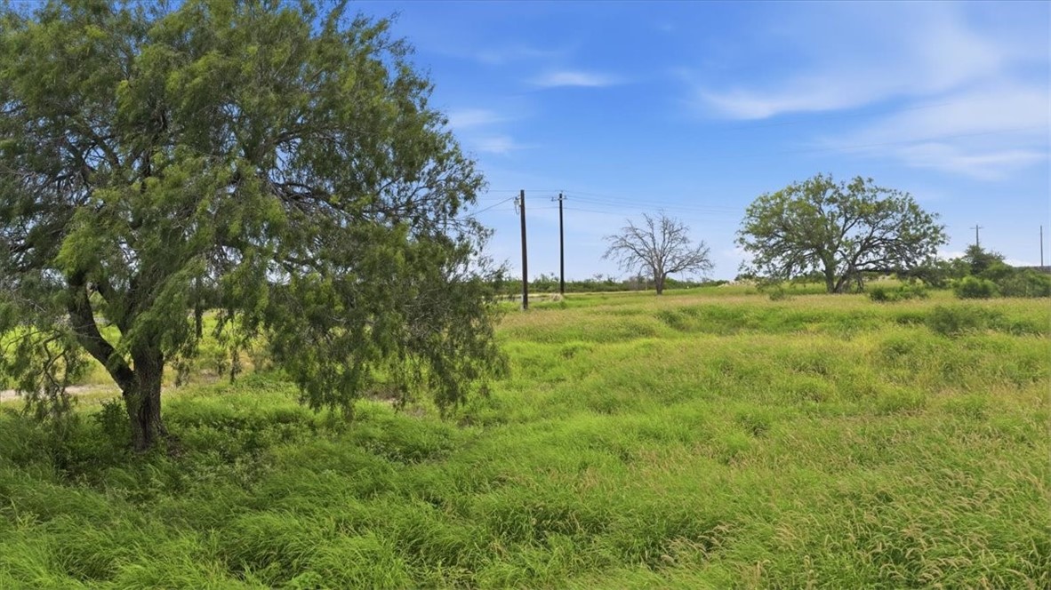 3187 Highway 72 Three Rivers, TX 78071 - Photo 2 of 13 a view of a field with a tree