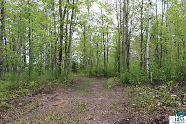 Lot 1 Fire Lake Road Iron River, WI 54847 - Photo 8 of 9 Gallery Image 8