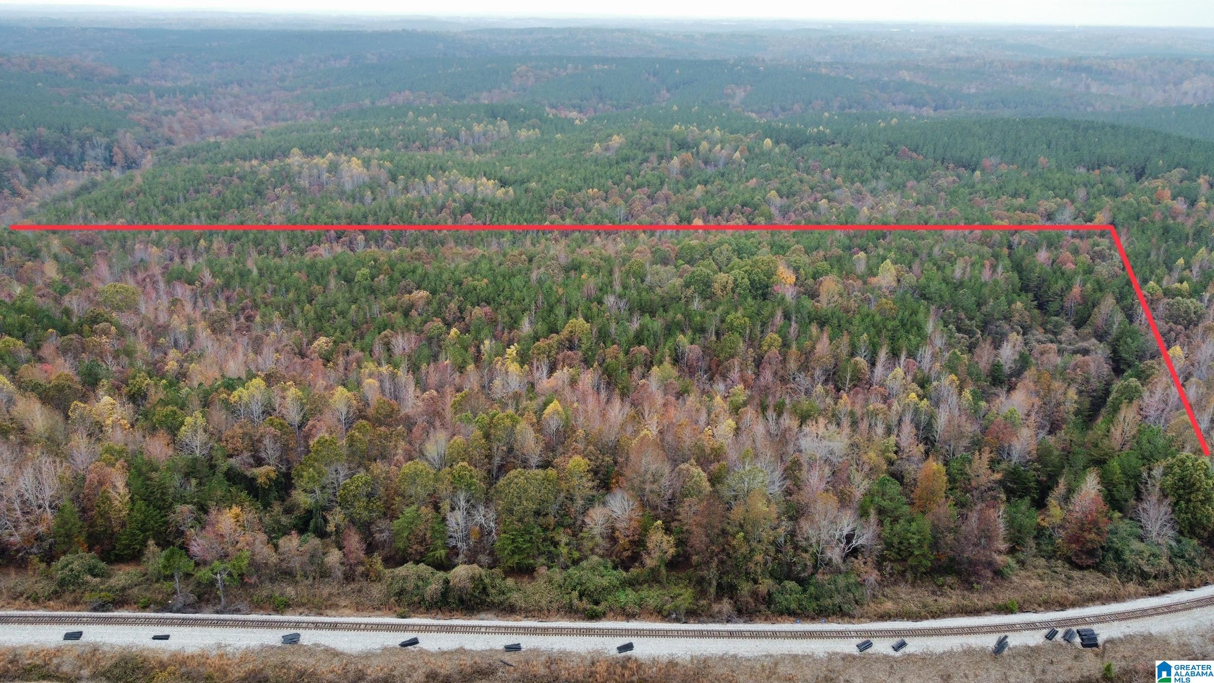 83-acres Byler Road, Unit 83 ACRES Haleyville, AL 35565 - Photo 14 of 19