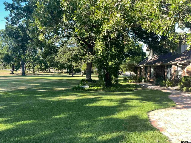 a view of a park with tree s