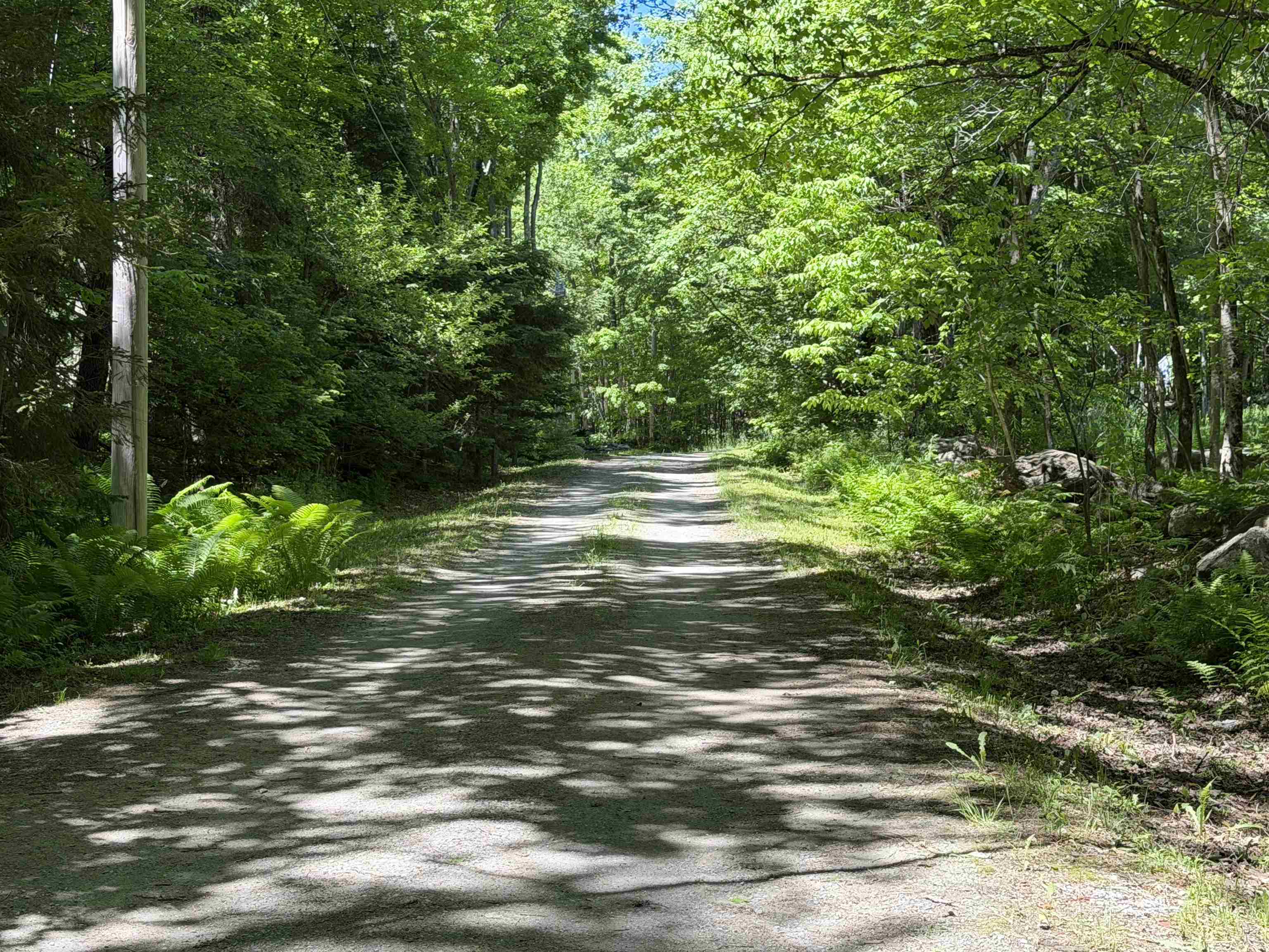 386 Howland Farm Road Mount Holly, VT 05730 - Photo 40 of 45