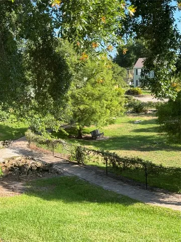 a view of a yard with a large trees