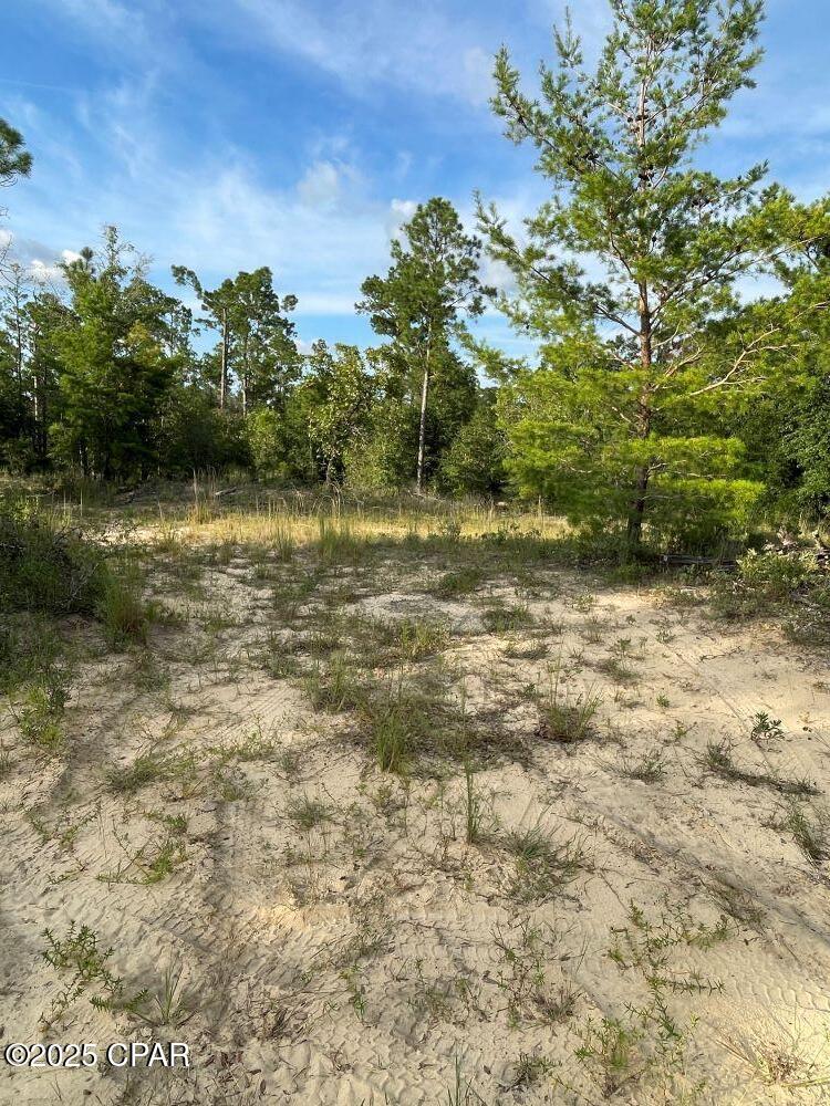 20535 Ring Road Fountain, FL 32438 - Photo 3 of 14 Gallery Image 3