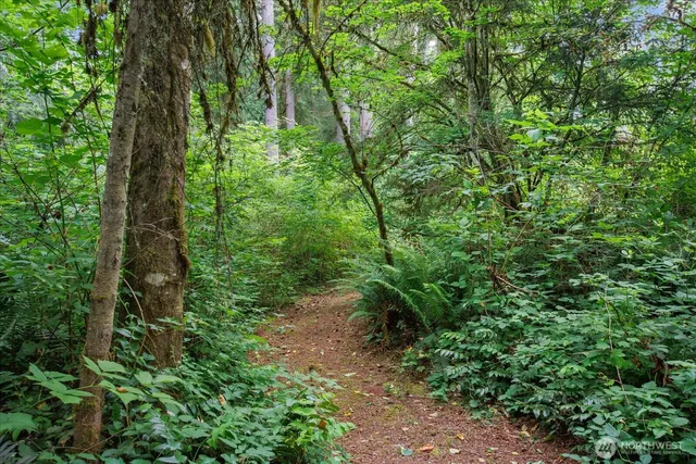 a backyard of a house with lots of green space